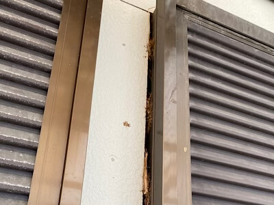 助け隊では、空き家のご実家の壁のすき間