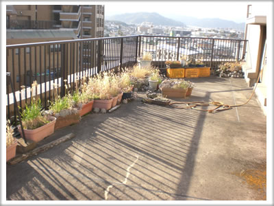 【便利屋】暮らしなんでもお助け隊 福岡鳥飼店　ベランダ植木鉢片付け施工前