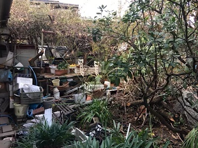 ゴミ屋敷 お庭