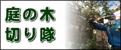 【便利屋】暮らしなんでもお助け隊 福岡鳥飼店にて何でも屋・便利屋サービス「庭の木切り隊」は、遠く離れた福岡のご実家が空き家となり、お庭でボウボウに伸びた庭木の伐採、庭木の剪定を行っています。さらに庭にある倉庫の片付けなども行っています。その他、福岡のご実家・ご両親の心配事・お困り事何でも解決しています。ご相談ください。